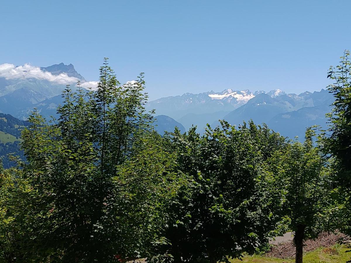 Studio Au Calme, Vue Imprenable Sur La Vallee Leysin Zewnętrze zdjęcie