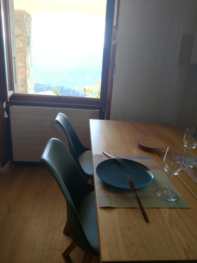 Studio Au Calme, Vue Imprenable Sur La Vallee Leysin Zewnętrze zdjęcie