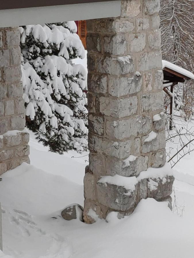 Studio Au Calme, Vue Imprenable Sur La Vallee Leysin Zewnętrze zdjęcie