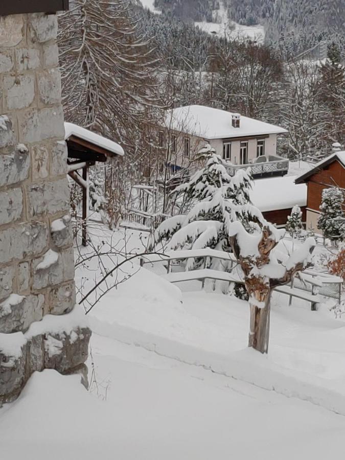 Studio Au Calme, Vue Imprenable Sur La Vallee Leysin Zewnętrze zdjęcie