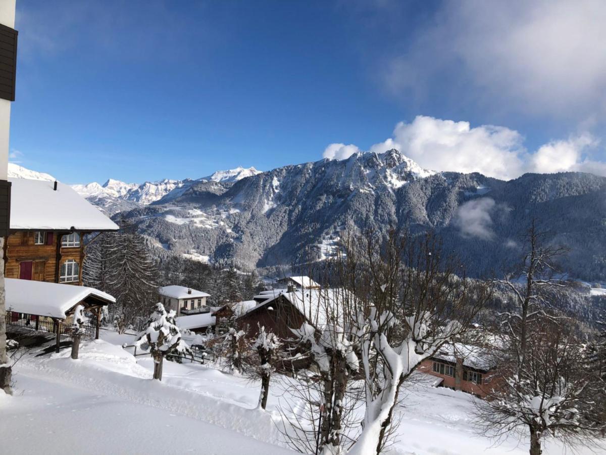 Studio Au Calme, Vue Imprenable Sur La Vallee Leysin Zewnętrze zdjęcie