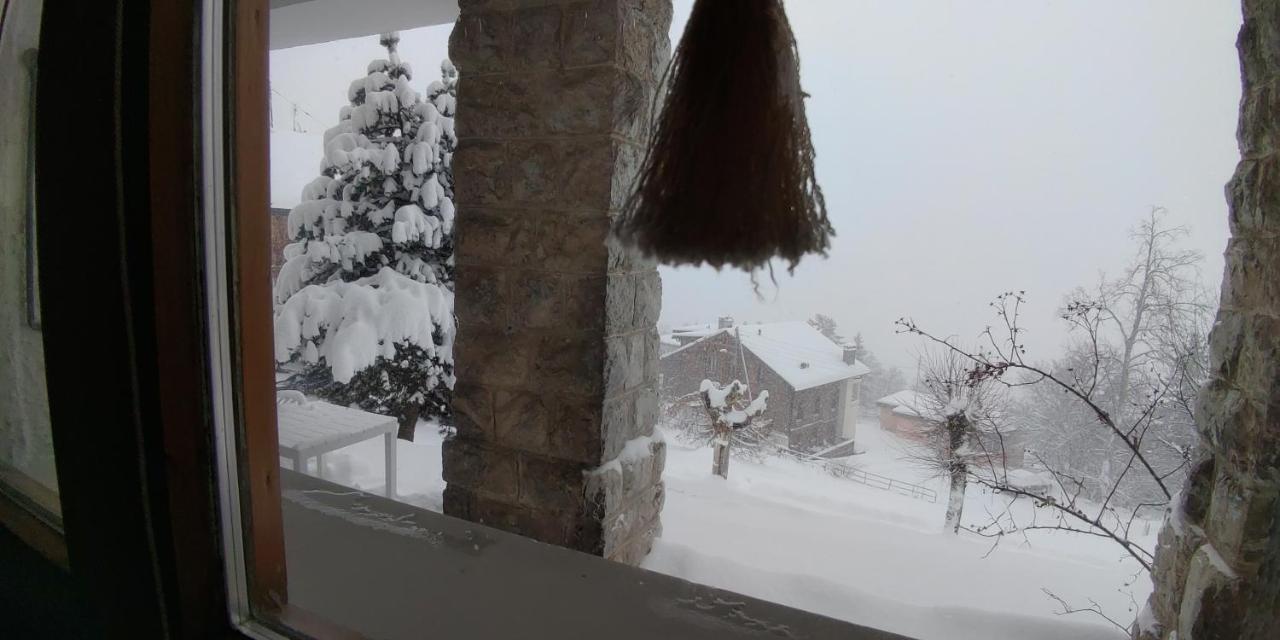 Studio Au Calme, Vue Imprenable Sur La Vallee Leysin Zewnętrze zdjęcie