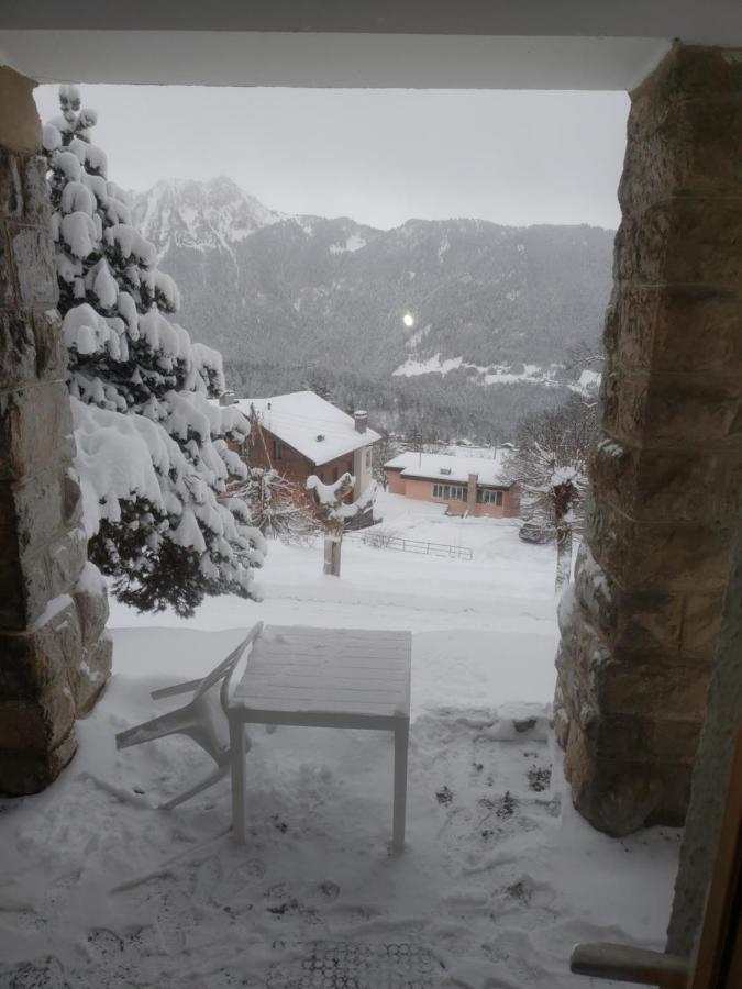 Studio Au Calme, Vue Imprenable Sur La Vallee Leysin Zewnętrze zdjęcie