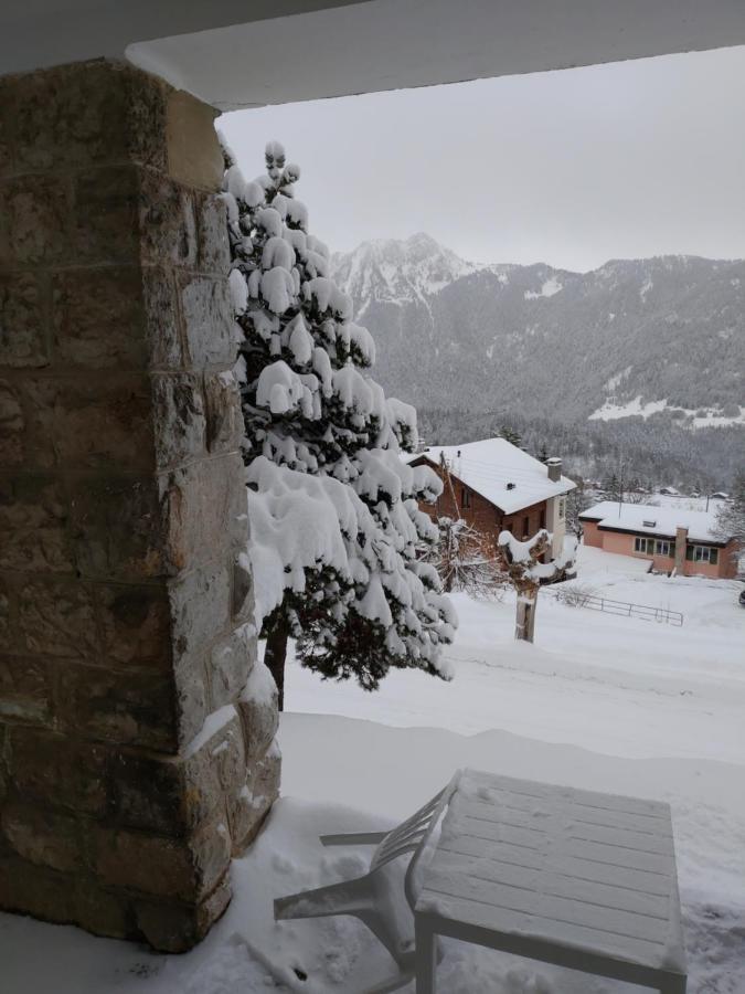 Studio Au Calme, Vue Imprenable Sur La Vallee Leysin Zewnętrze zdjęcie